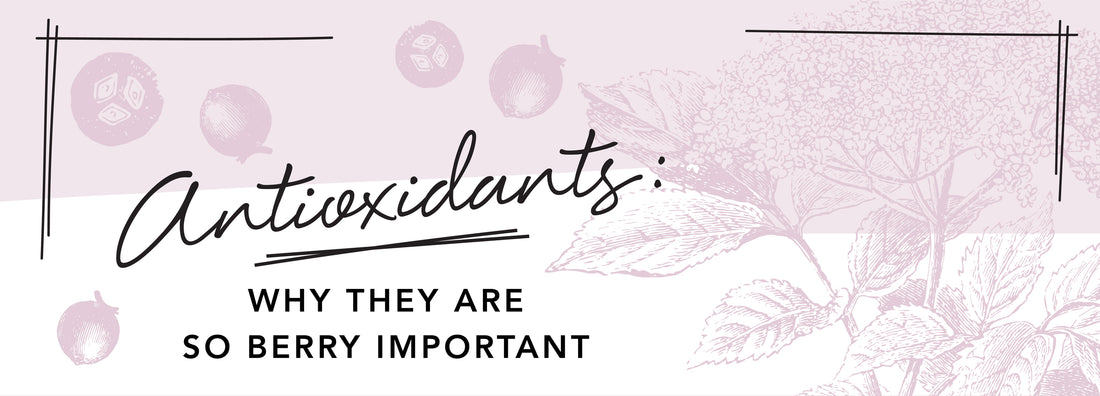 ANTIOXIDANTS: WHY THEY ARE SO BERRY IMPORTANT