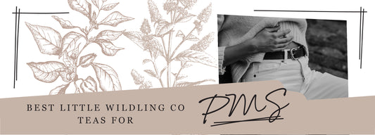 Best Little Wildling Co Teas for PMS
