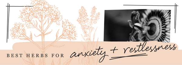 Best herbs for anxiety and restlessness