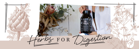 Herbs for digestion
