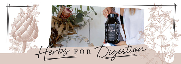 Herbs for digestion