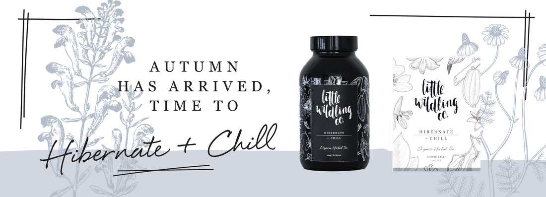 Autumn has arrived, time to HIBERNATE & CHILL
