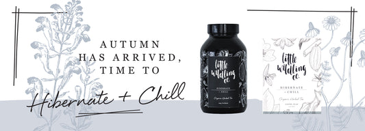 Autumn has arrived, time to HIBERNATE & CHILL