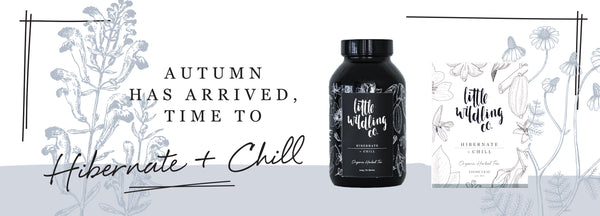 Autumn has arrived, time to HIBERNATE & CHILL