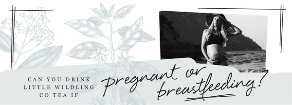Can you drink Little Wildling Co Tea if pregnant or breastfeeding?