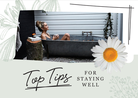 Wellness Guide
