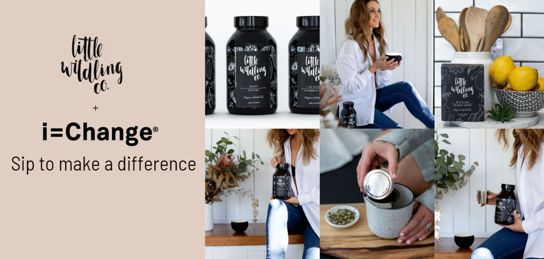 i=change x Little Wildling Co