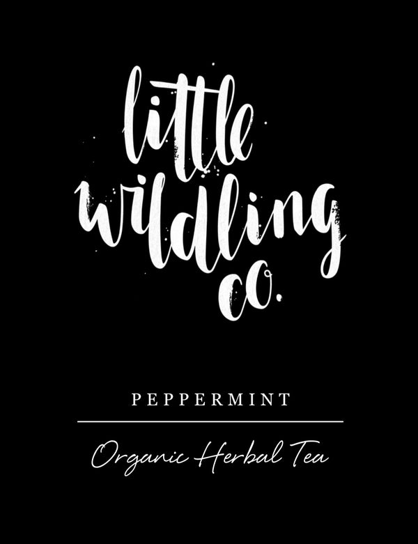Peppermint tea bags - BULK refill bag of 50